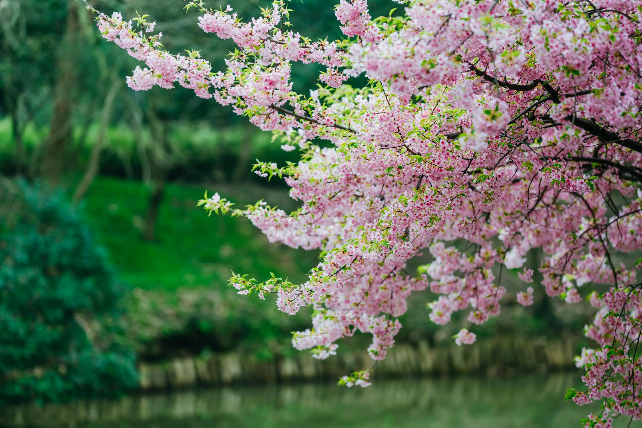Serene zen archery moment